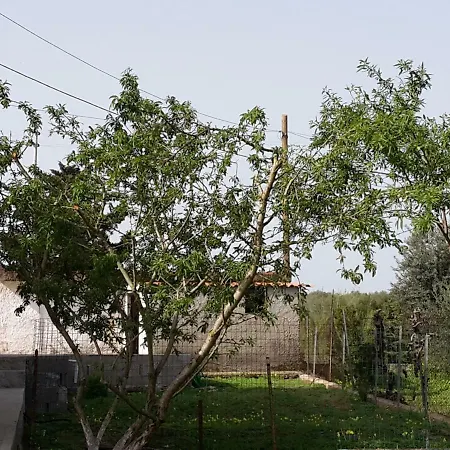 I 4 Venti Frühstückspension